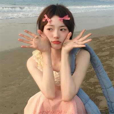 真假维梅尔